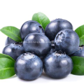 Instant soluble Natural blueberry fruit juice powder